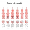 Fixpmu Tattoo Nadel Microneedle Roller Kit